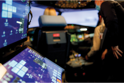 Flight Simulator Experience